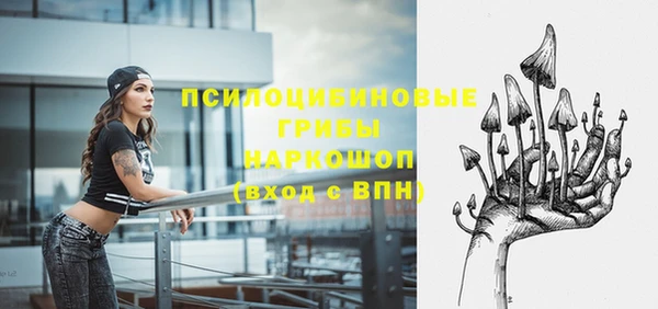 соль ск Вяземский