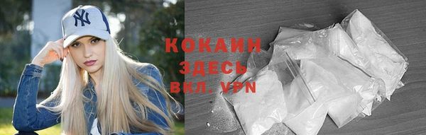 индика Гусиноозёрск