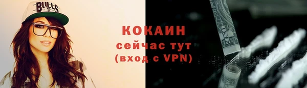 индика Гусиноозёрск