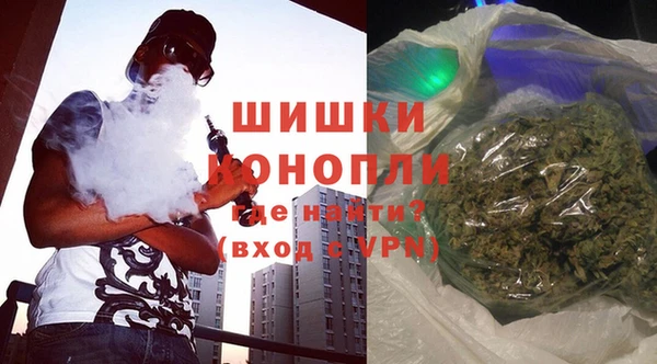индика Гусиноозёрск