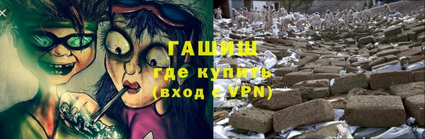 индика Гусиноозёрск
