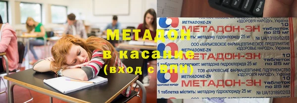 индика Гусиноозёрск