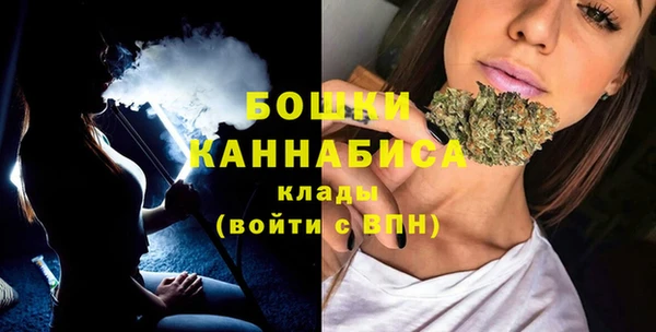 индика Гусиноозёрск